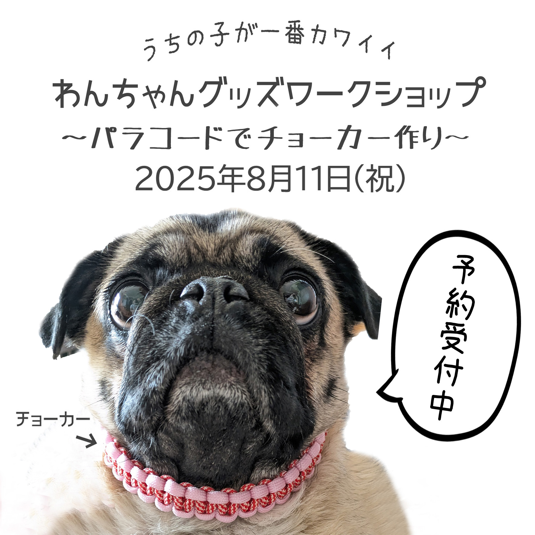 【本館6F/PHOTOLAB コイデカメラ】わんちゃんグッズワークショップ