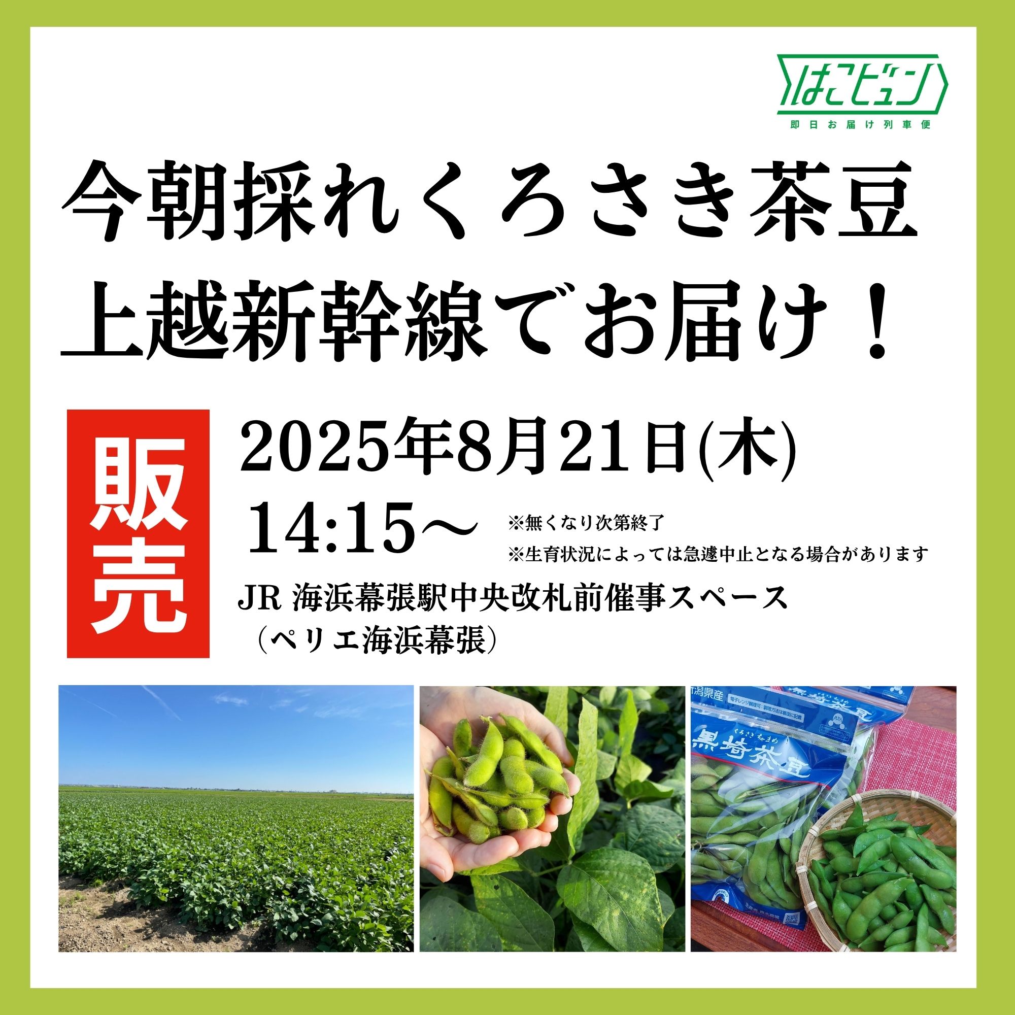 【はこビュン】“今朝どれ”新潟ブランド枝豆「くろさき茶豆」をJR海浜幕張駅で販売！