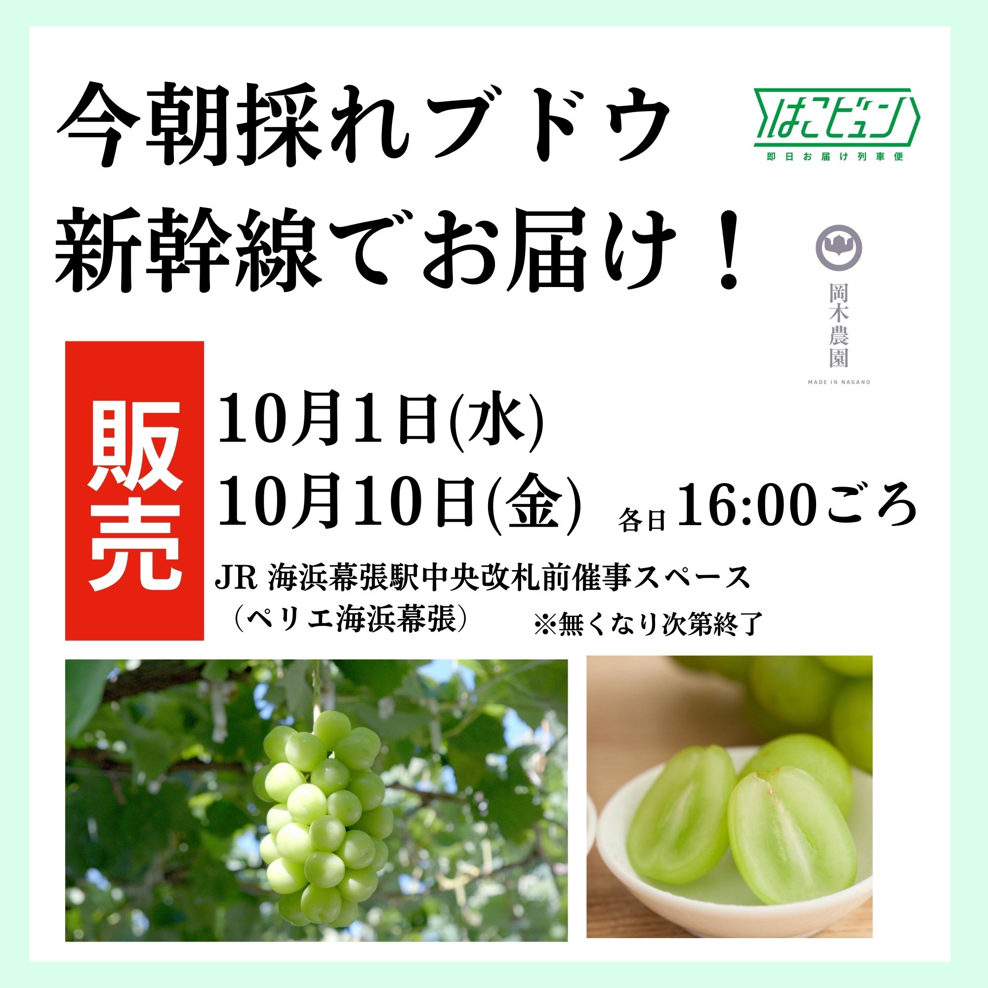 【はこビュン】“今朝採れブドウ"をJR海浜幕張駅で販売！