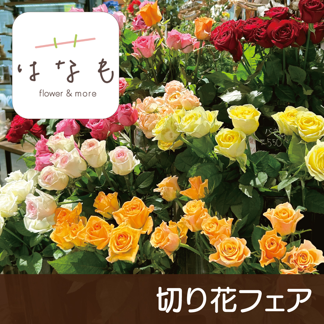 【はなも西千葉店限定！】おまとめ買いでお得！切り花バイキング開催中