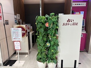 【本館６F/占い　ルルドの部屋】12月のワンポイント占い