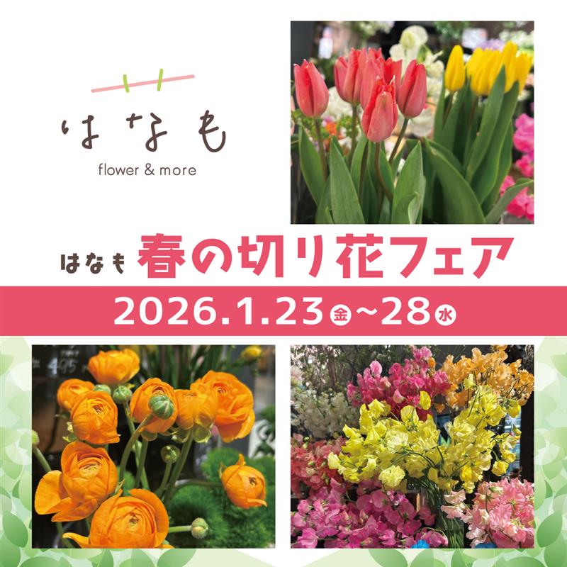 【アネックス／はなも】切り花フェア　１月23日(金)～1月28日(水)