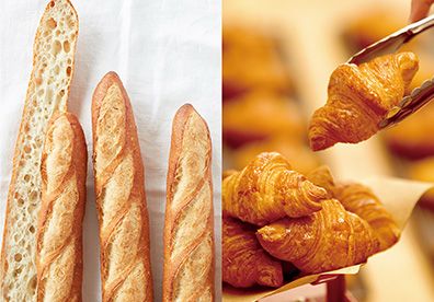 ドンクエディテ/ミニワンの商品イメージ